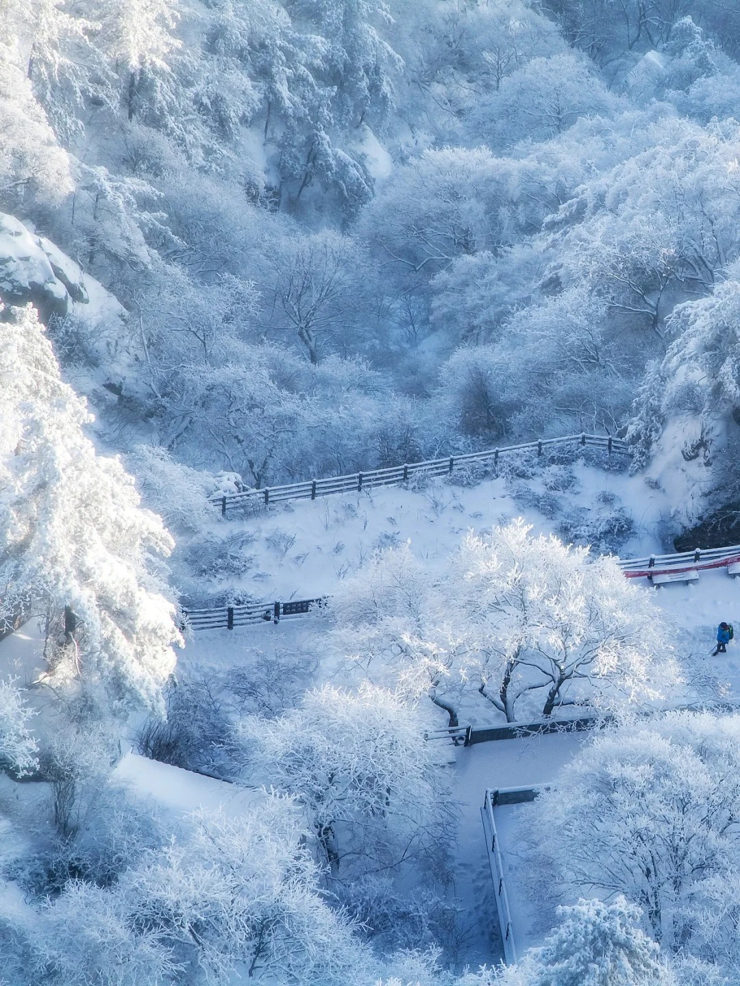 一到冬天❄老君山就美成云顶天宫！_2_携程旅行_老君山-来自52tours 我爱旅游网
